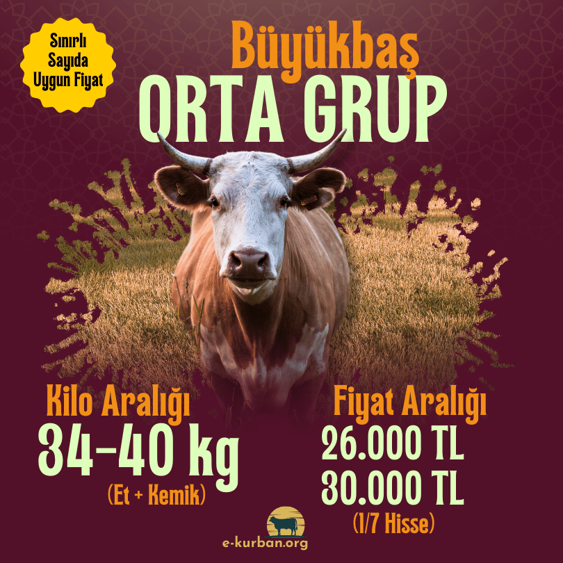 Büyükbaş Kurban Fiyatları 2025